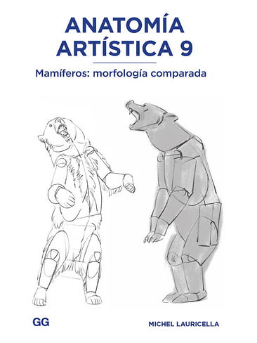 Anatomia Artistica 9 Mamiferos Morfologia Comparada 1