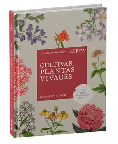 Cultivar Plantas Vivaces 1