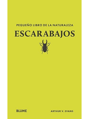 Pequeño Libro De La Naturaleza Escarabajo