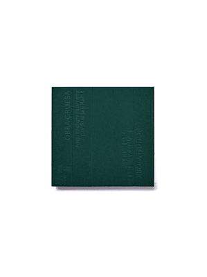 Obra Gruesa. Arquitectura Ilustrada Por Smiljan Radic