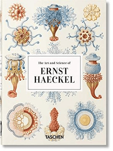 Ernst Haeckel 1