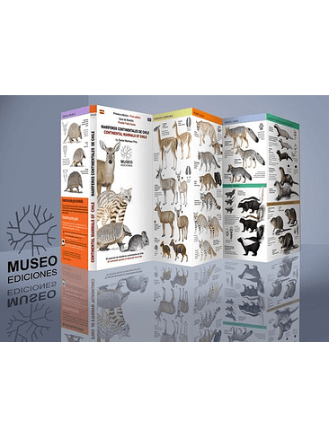 Guia Mamiferos Continentales De Chile 1