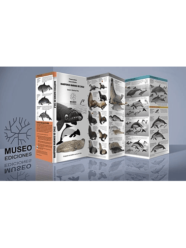 Guia Mamiferos Marinos De Chile 1