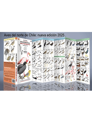 Guia Aves Del Norte De Chile