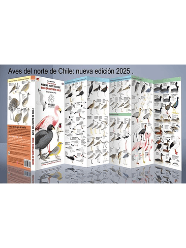 Guia Aves Del Norte De Chile 1