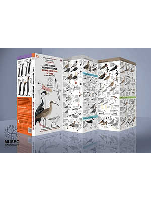 Guia Aves Marinas Y Playeras De Chile