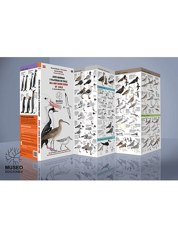 Guia Aves Marinas Y Playeras De Chile 1