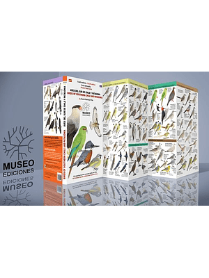 Guia Aves Del Sur De Chile Y Patagonia