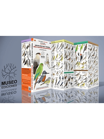 Guia Aves Del Sur De Chile Y Patagonia 1