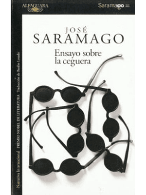 Ensayo Sobre La Ceguera