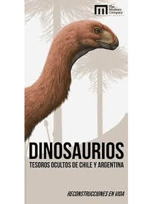 Guia Dinosaurios De Chile Y Argentina