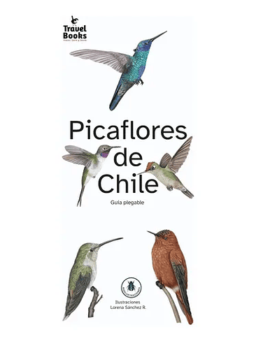 Guia Picaflores De Chile 1
