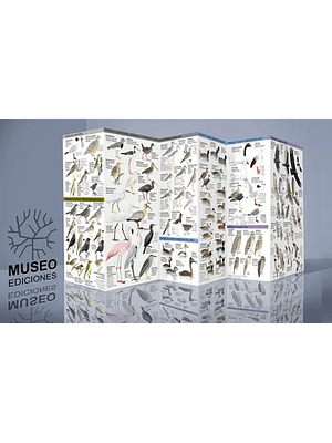 Guia Aves Continentales De Chile Central