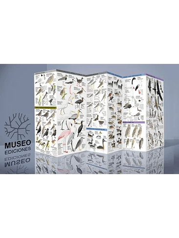 Guia Aves Continentales De Chile Central 1