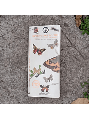 Guia Lepidopteros De Chile (Familia Saturniidae)
