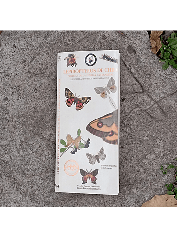 Guia Lepidopteros De Chile (Familia Saturniidae) 1