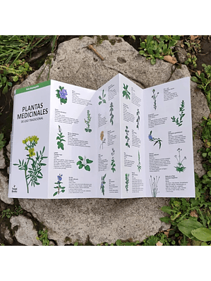 Guia Plantas Medicinales De Uso Tradicional
