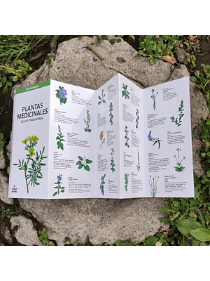 Guia Plantas Medicinales De Uso Tradicional