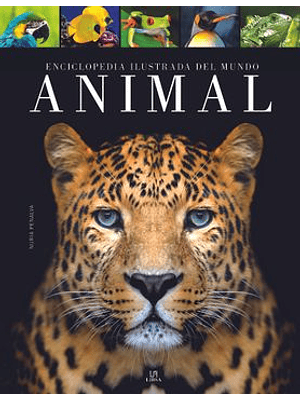 Enciclopedia Ilustrada Del Mundo Animal