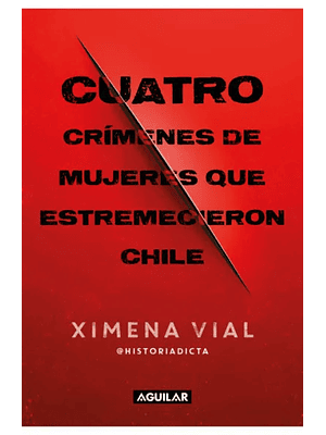 Cuatro Crimenes De Mujeres Que Estremecieron Chile