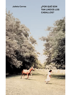 Por Que Son Tan Lindos Los Caballos