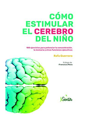 Como Estimular El Cerebro Del Niño