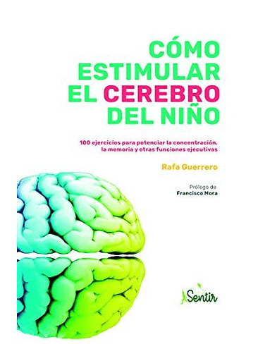 Como Estimular El Cerebro Del Niño 1