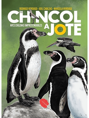 De Chincol A Jote Aves Chilenas Imprescindibles