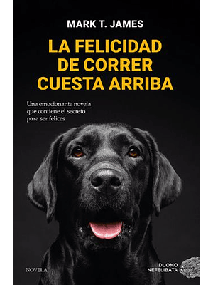 Felicidad De Correr Cuesta Arriba, La