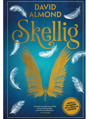 Skellig 1