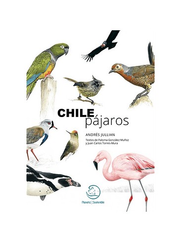 Chile Pajaros 1