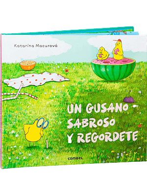 Gusano Sabroso Y Regordete, Un