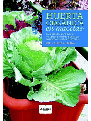 Huerta Organica En Macetas