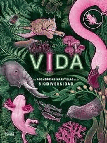 Vida Las Asombrosas Maravillas De La Biodiversidad 1