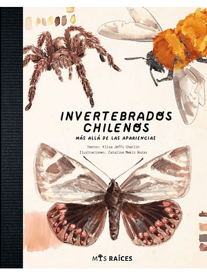 Invertebrados Chilenos 