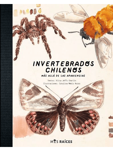 Invertebrados Chilenos  1