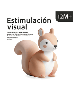 Estimulacion Visual 12m+ (Bb)