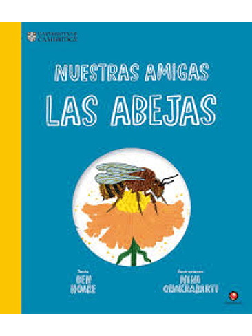 Nuestras Amigas Las Abejas 1