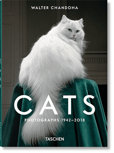 Cats Photographs 1942-2018 1