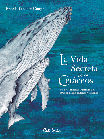 Vida Secreta De Los Cetaceos, La 1