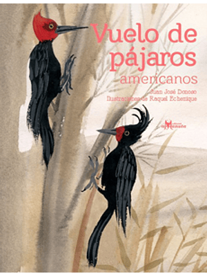 Vuelo De Pajaros Americanos