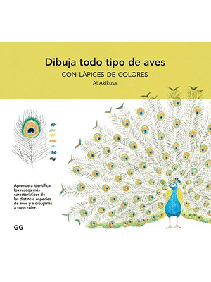 Dibuja Todo Tipo De Aves Con Lapices De Colores
