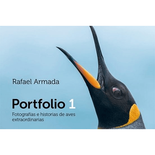 Portafolio 1 Fotografias E Historias De Aves Extraordinarias