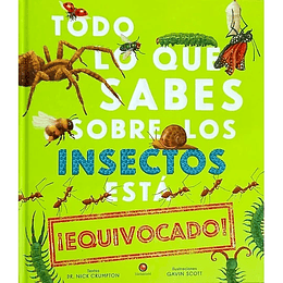 Todo Lo Que Sabes Sobre Los Insectos Esta Equivocado