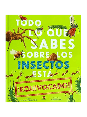 Todo Lo Que Sabes Sobre Los Insectos Esta Equivocado