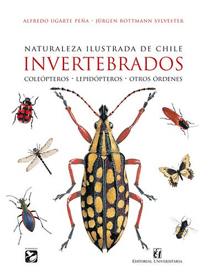 Naturaleza Ilustrada De Chile Invertebrados