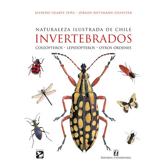 Naturaleza Ilustrada De Chile Invertebrados