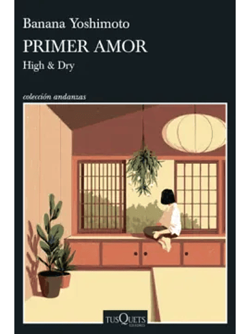 Primer Amor (High & Dry) 1