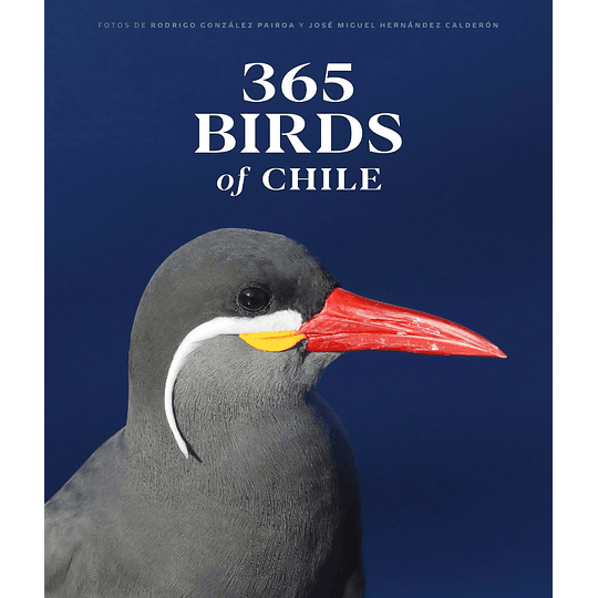 365 Birds Of Chile