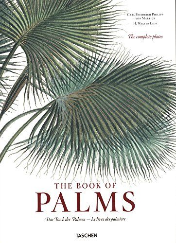 The Book Of Palms 1